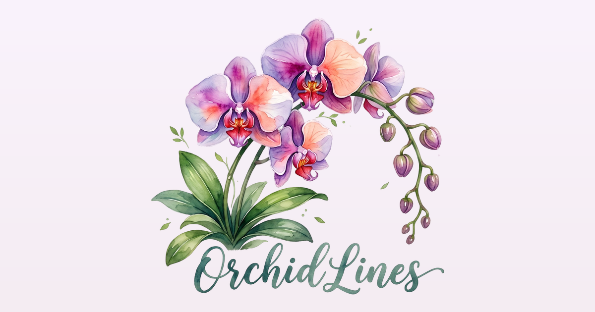 Design Tools and Generators: 57 Free Browser Tools | OrchidLines